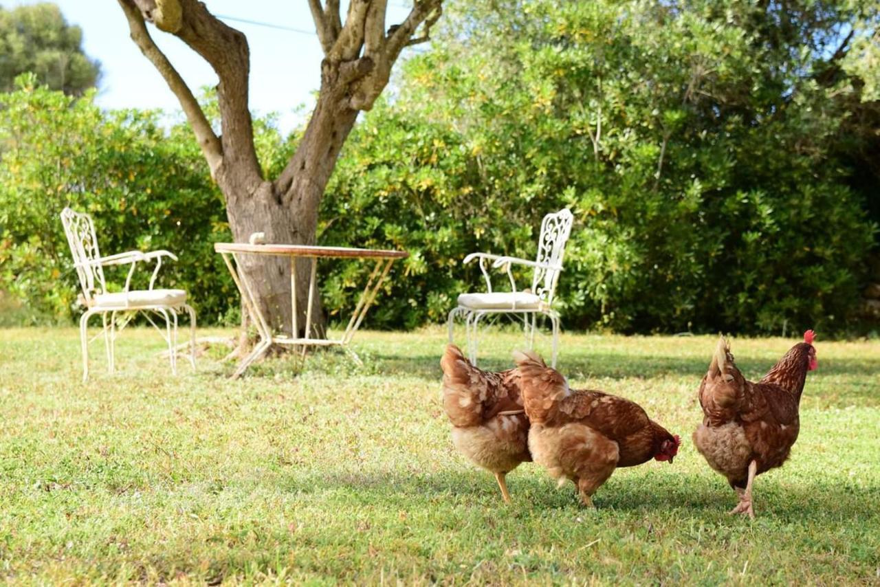 Binicalsitx Casa Rural Ferreries Εξωτερικό φωτογραφία