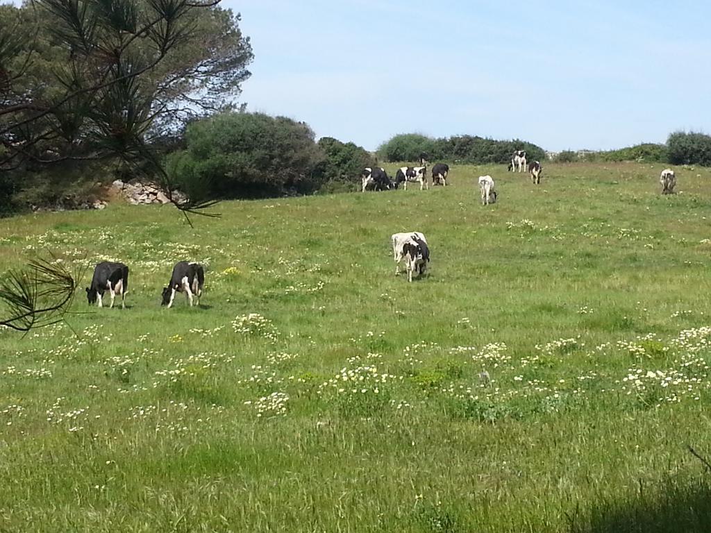 Binicalsitx Casa Rural Ferreries Εξωτερικό φωτογραφία